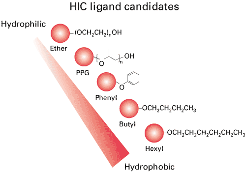 HIC ligands